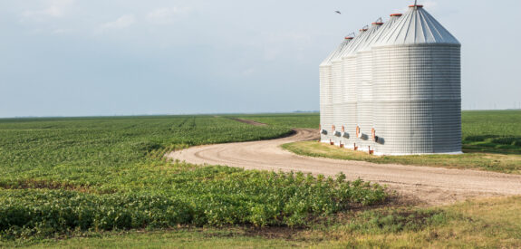 Silver grain silos beside a winding dirt road in green farmland below a partly cloudy sky.