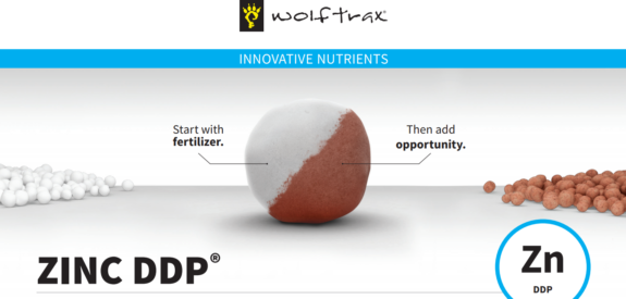 A split-color ZINC DDP® pellet rests between heaps of white and brown fertilizer granules.