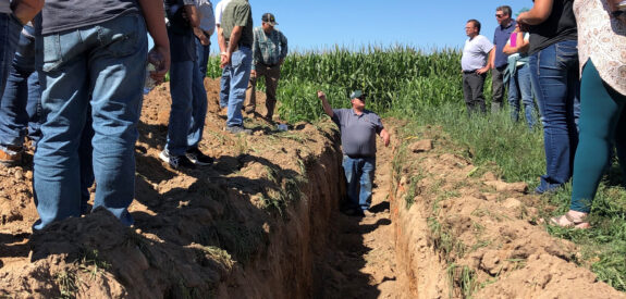 A group gathers near a man standing in a dirt trench by tall corn under a clear blue sky.