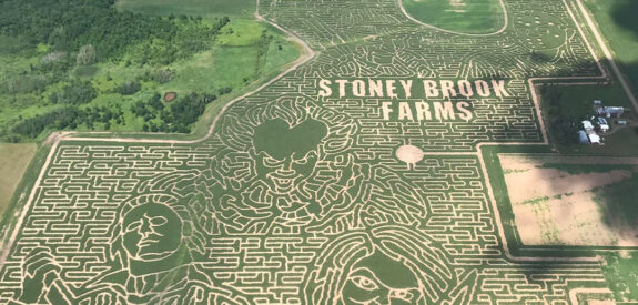 Corn maze at Stoney Brook Farms seen from above, featuring three large faces and field text.