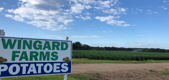 Wingard Farms Potatoes sign stands in a farm field beneath a blue sky dotted with clouds.