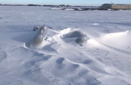 Snowdrifts blanket a flat landscape; a few buildings stand in the background beneath a clear sky.
