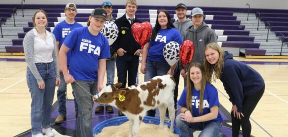 Smiling students in a school gym gather around a calf in a tub, holding heart and cow-themed balloons.