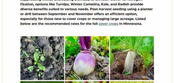 Newsletter page featuring text and four close-ups of different cover crops sprouting in soil.