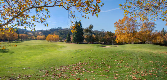 Green golf course with autumn trees and scattered leaves beneath a clear blue sky.