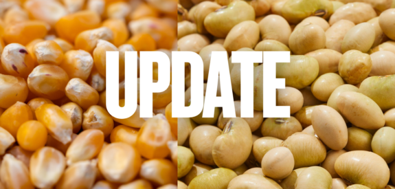Corn kernels and beans side by side in close-up, bold white UPDATE text centered across both.
