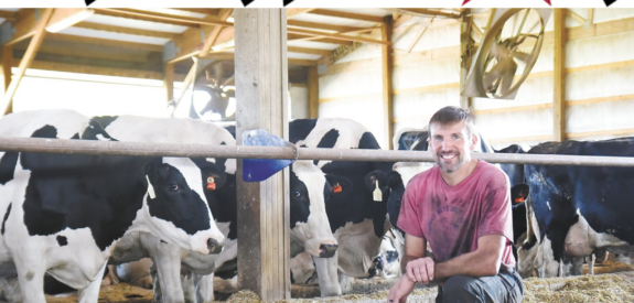 Man kneels in barn beside cows; Dairy Star 25th anniversary logo displayed above.