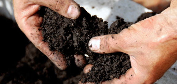 Hands gently breaking apart dark, rich soil over a garden bed.