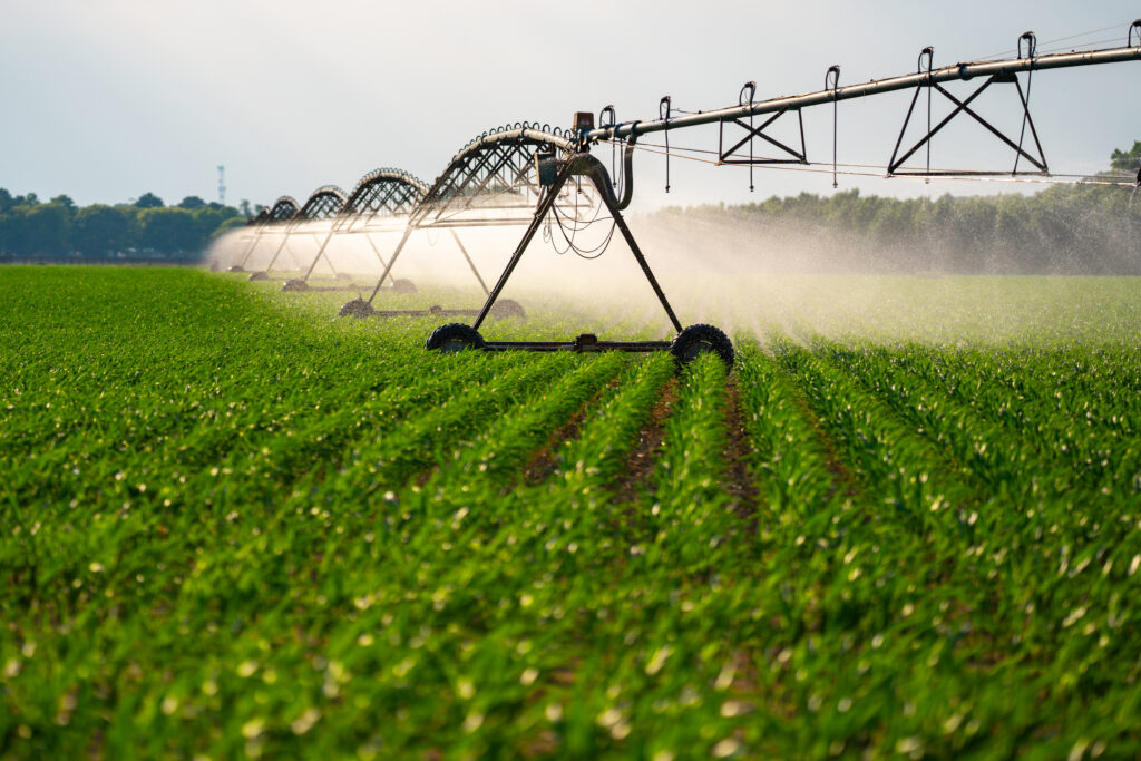 A large irrigation system sprays water over rows of green crops in a sunny, open field.