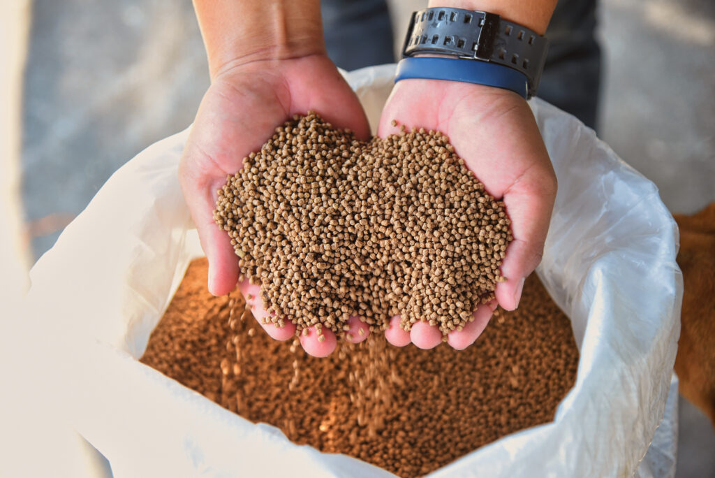 Hands cupping brown animal feed pellets above a large white sack full of similar pellets.