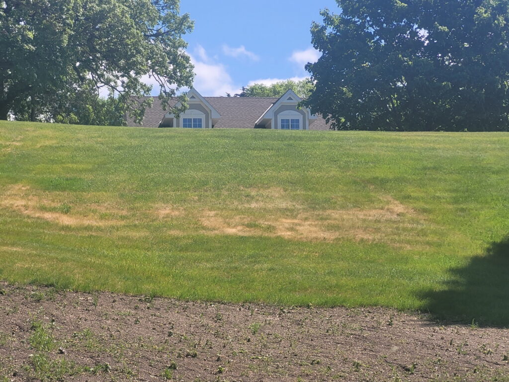 A grassy hill topped with a partly hidden house, surrounded by green trees beneath a clear blue sky.