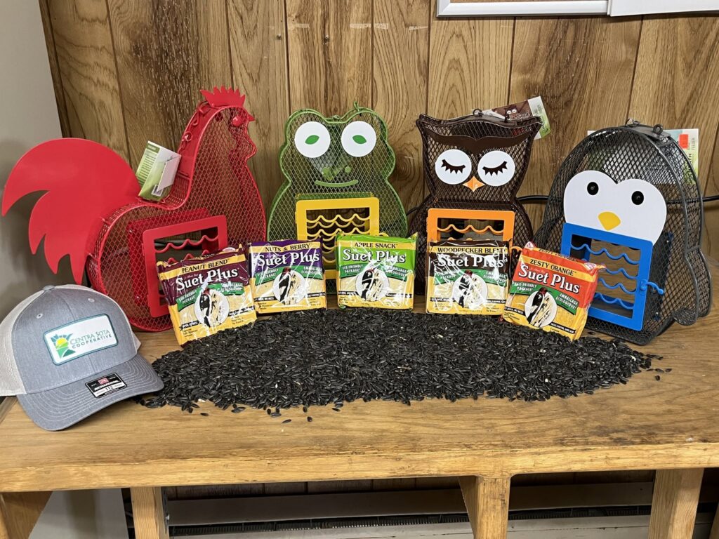 Four animal-shaped bird feeders, suet packs, black sunflower seeds, and a cap sit on a wooden table.