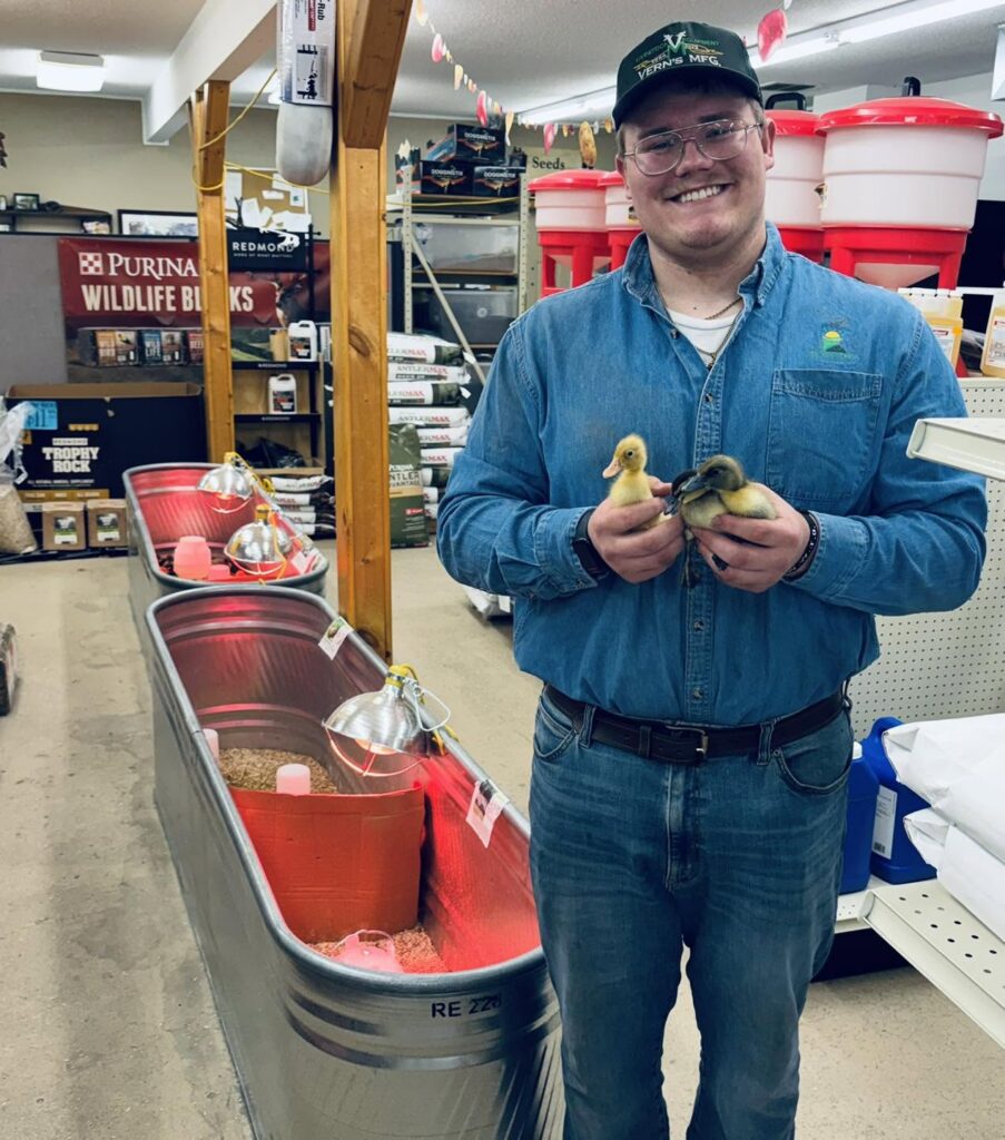 Smiling person in a feed store holds two ducklings; heated tubs with hay are visible in the background.