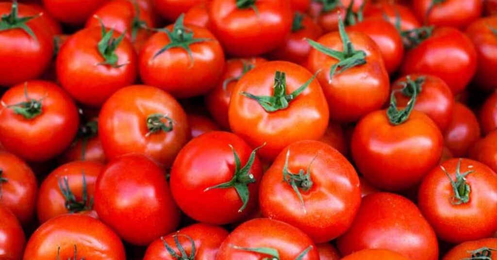 Fresh red tomatoes heaped together, some with green stems attached.