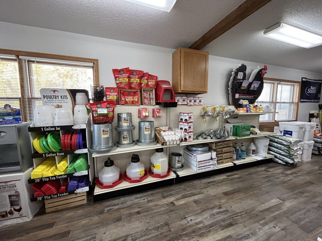 Poultry supplies on shelves, including feeders, feed bags, egg cartons, and colorful plastic jars.