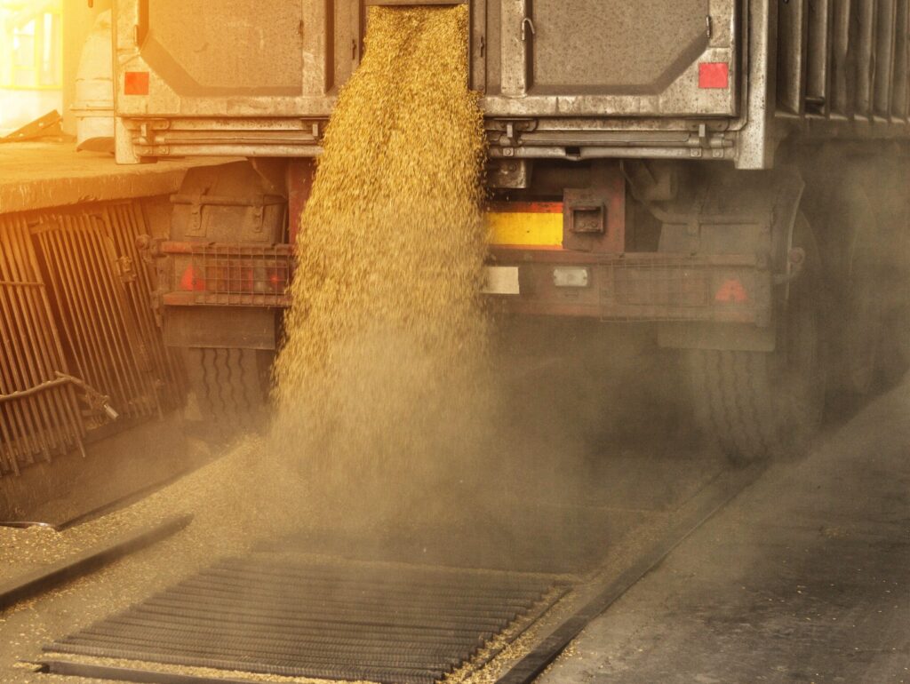 Truck releases grain onto a grate at an industrial facility for processing.