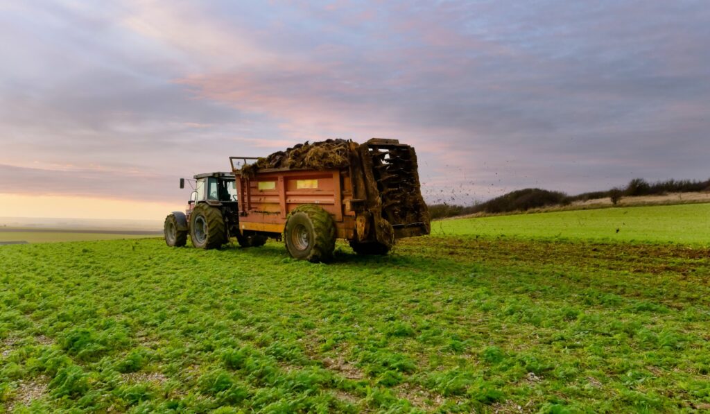 A tractor spreads manure over a green field as the sun sets behind clouds.